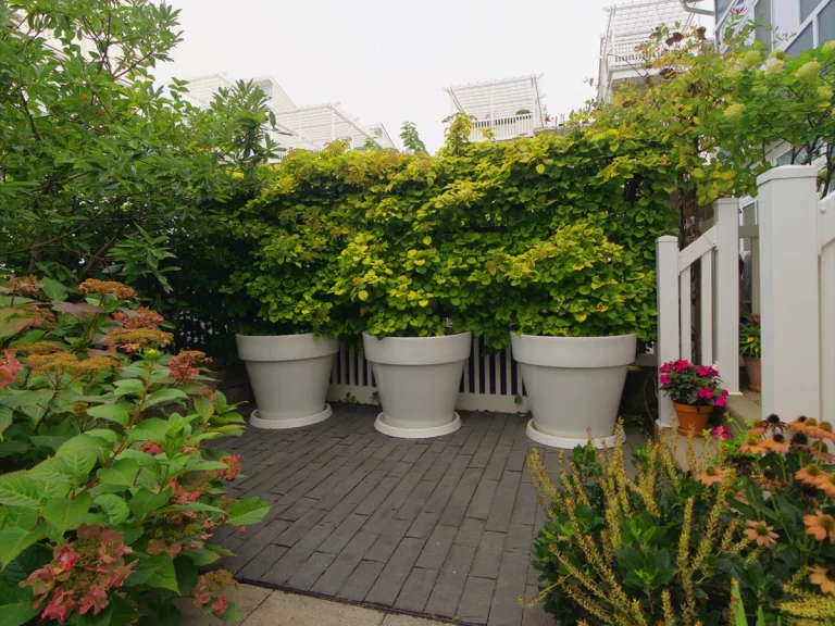 David Kennedy Architect Landscape 768x576