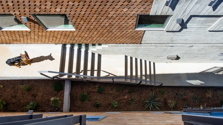 MG Wonderland 12 768x432