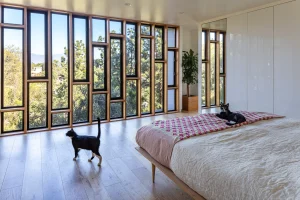 1506 P Interior 01 result 300x200