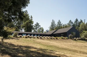 Bardy WEB 24 300x197