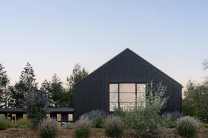 Bardy WEB 34 300x200