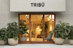 NCA Studio Tribu Main 300x198