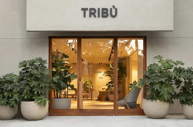 NCA Studio Tribu Main 768x506